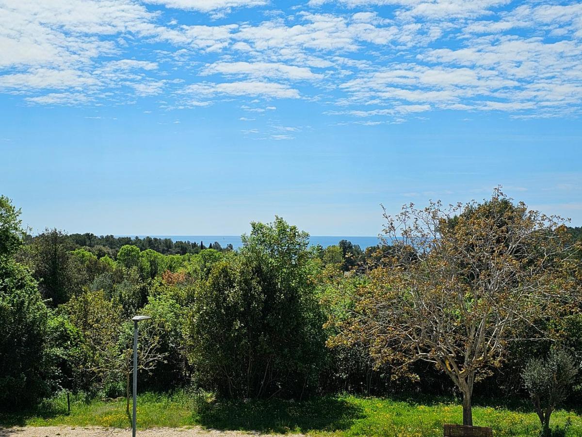 Apartments & Rooms Gaspar Rovinj Luaran gambar
